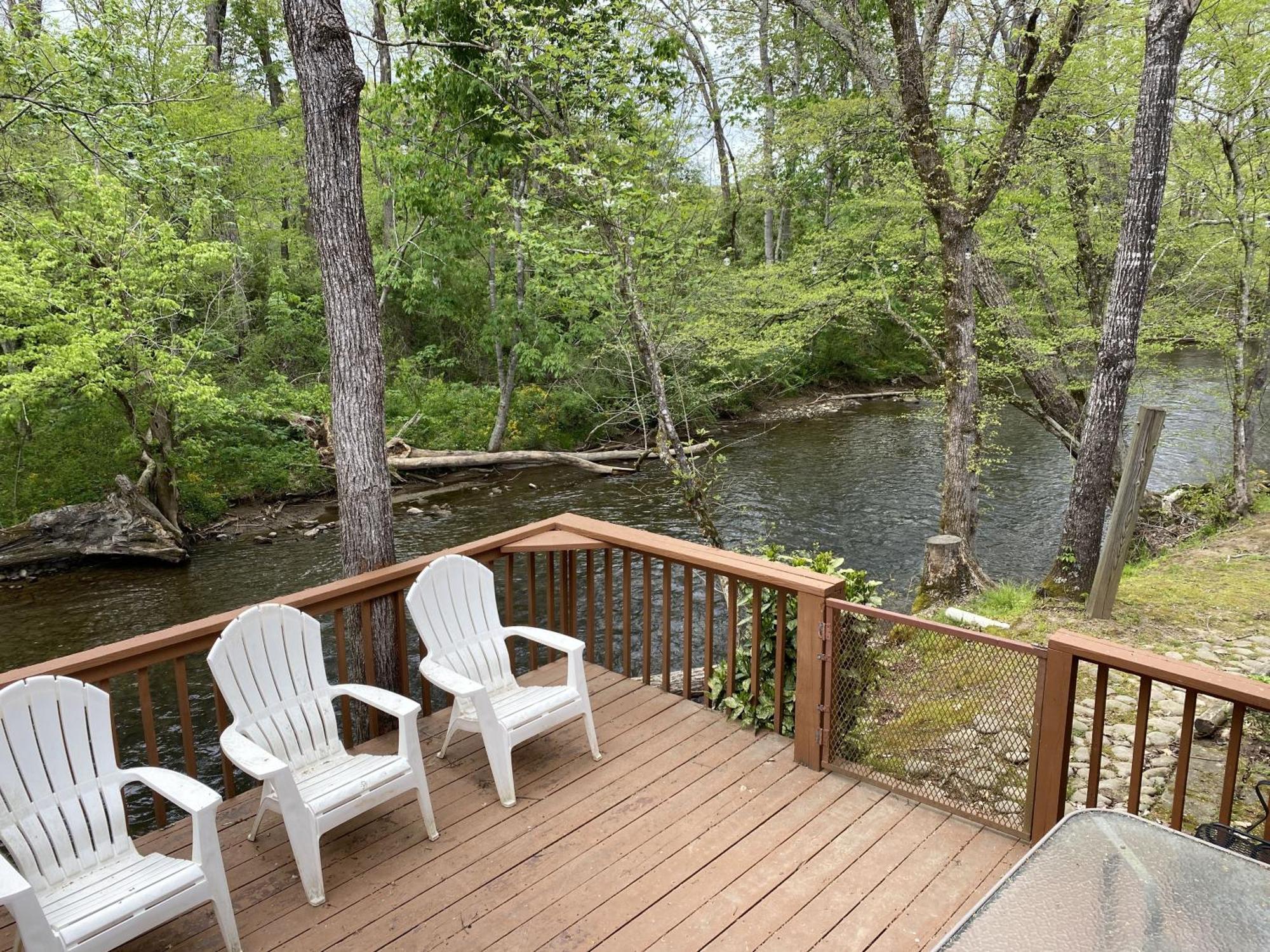 Gray'S Place On Cosby Creek - 2 Bedrooms, 2 Baths, Sleeps 6 Home Exteriér fotografie